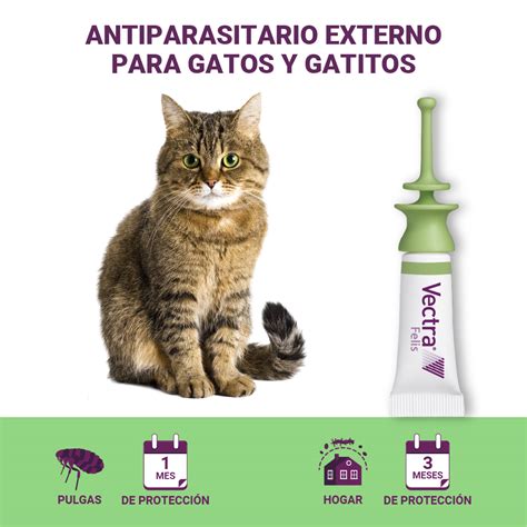 vectra chat pipette|vectra for cats.